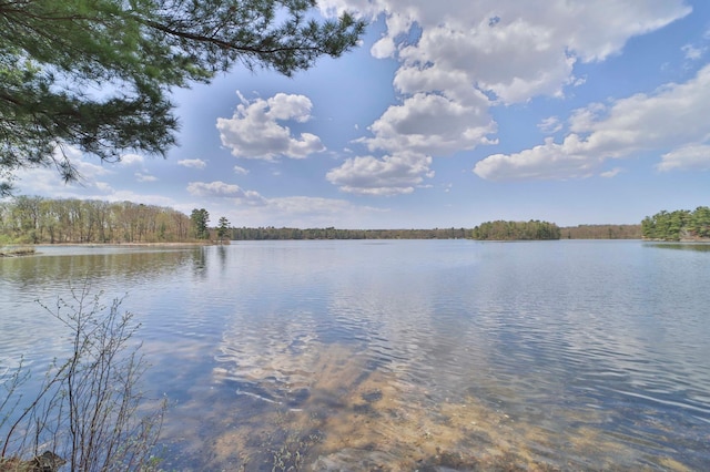 water view with a forest