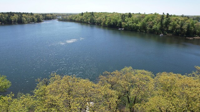 23607 Warren Ct, Deerwood, MN 56444 - photo 64