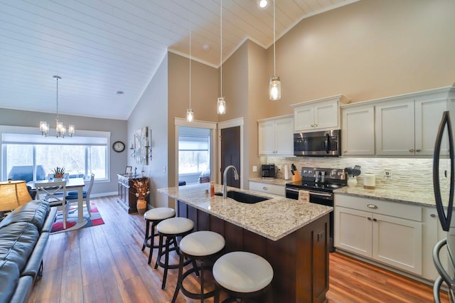 kitchen with a sink, appliances with stainless steel finishes, dark wood-style flooring, and high vaulted ceiling