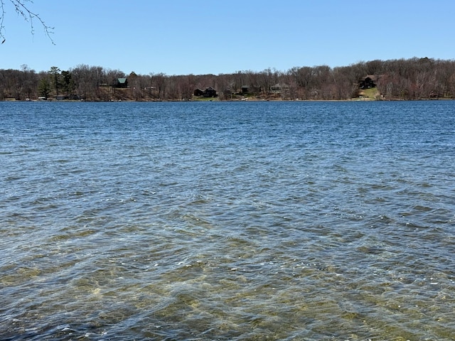 TBD County Road 4, Pequot Lakes, MN 56472