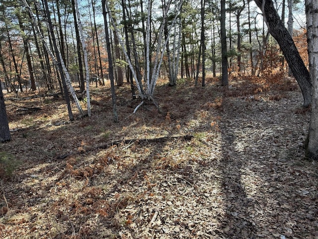 TBD County Road 4, Pequot Lakes, MN 56472