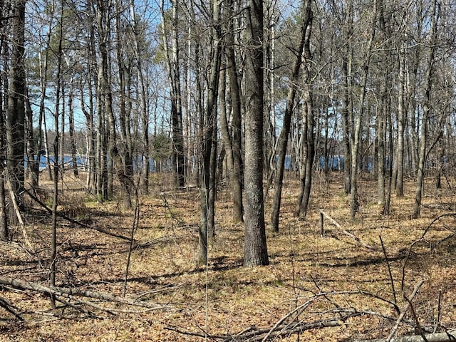 TBD County Road 4, Pequot Lakes, MN 56472