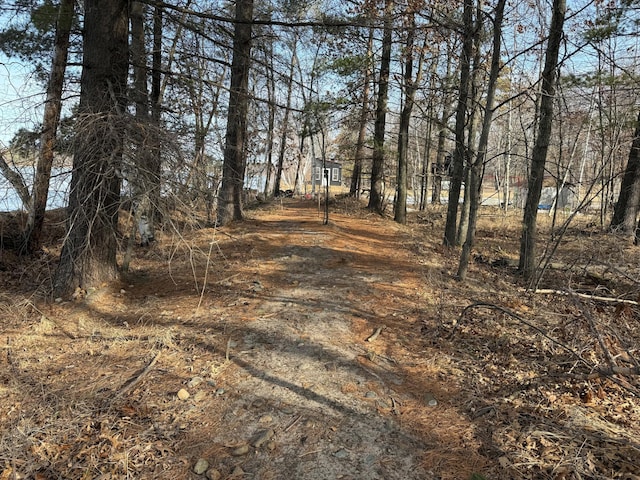 TBD County Road 4, Pequot Lakes, MN 56472