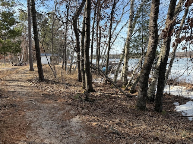 TBD County Road 4, Pequot Lakes, MN 56472