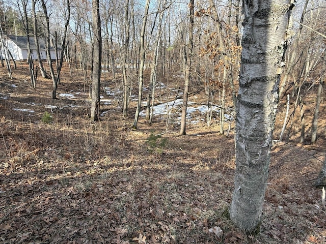 TBD County Road 4, Pequot Lakes, MN 56472