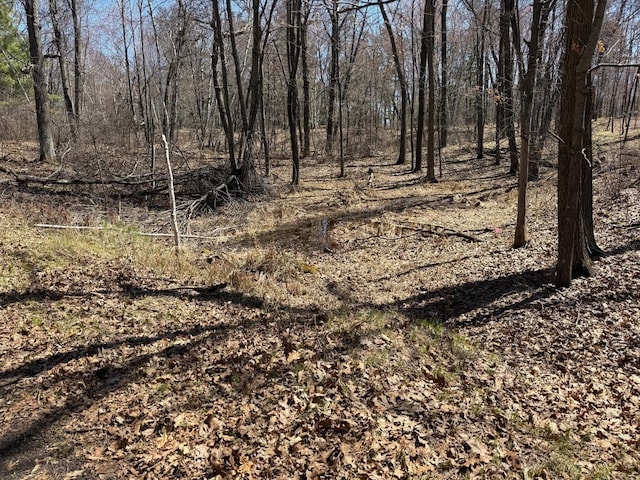 TBD County Road 4, Pequot Lakes, MN 56472