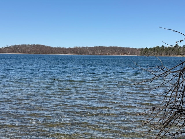 TBD County Road 4, Pequot Lakes, MN 56472