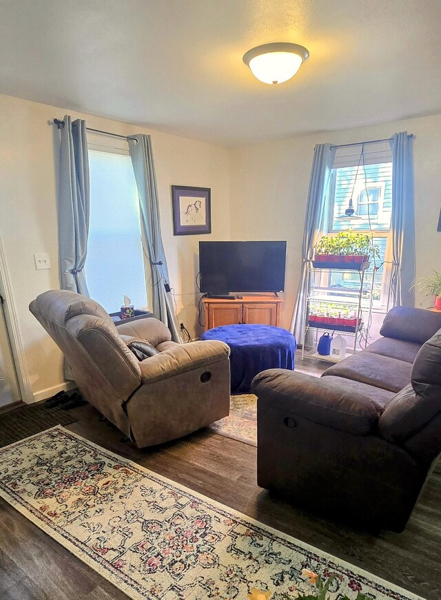 living room with wood finished floors