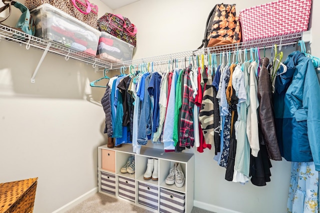 11504 Yuma Ln N, Dayton, MN 55369 - walk in closet with carpet flooring