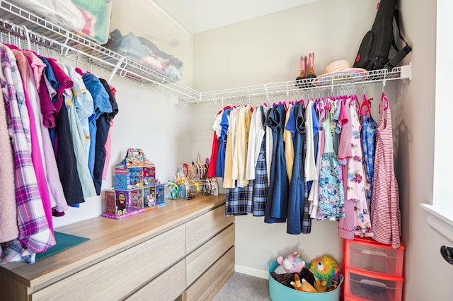 11504 Yuma Ln N, Dayton, MN 55369 - view of spacious closet
