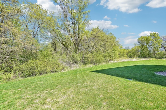 11504 Yuma Ln N, Dayton, MN 55369 - view of grassy yard