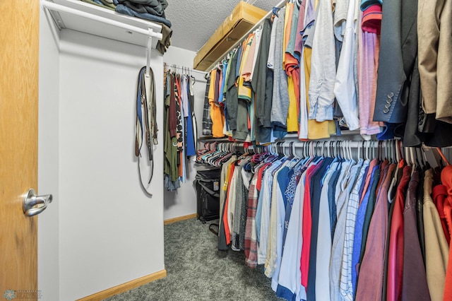 spacious closet featuring carpet floors