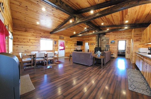 5227 Hyland Rd SW, Motley, MN 56466 - living room with a wood stove, wood walls, and a wealth of natural light