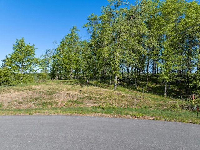 LOT15.58ACRES16435 Tom Lehman Dr, Brainerd, MN 56401