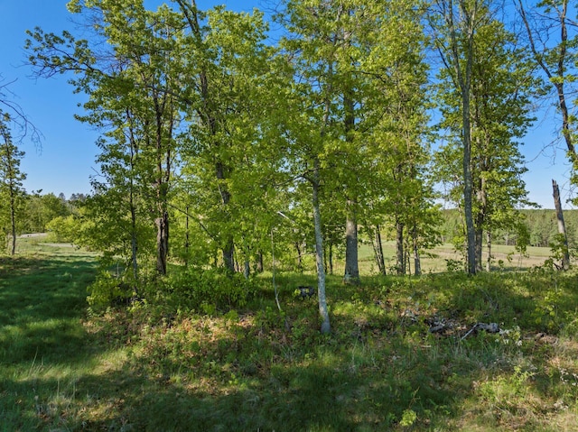 LOT15.58ACRES16435 Tom Lehman Dr, Brainerd, MN 56401