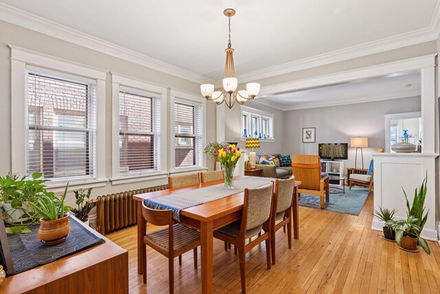 dining room with light wood-style floors, radiator, crown molding, and a chandelier