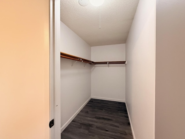 walk in closet with dark wood finished floors