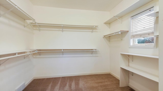 3219 Anric Dr, Eau Claire, WI 54701 - walk in closet featuring visible vents and carpet