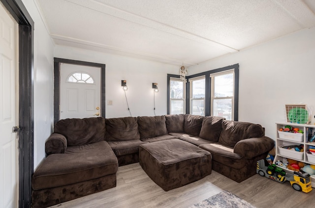515 6th Ave, Grand Rapids, MN 55744 - living area featuring light wood-type flooring and a textured ceiling