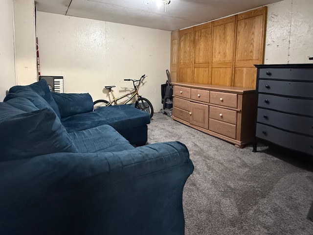 living area with light colored carpet