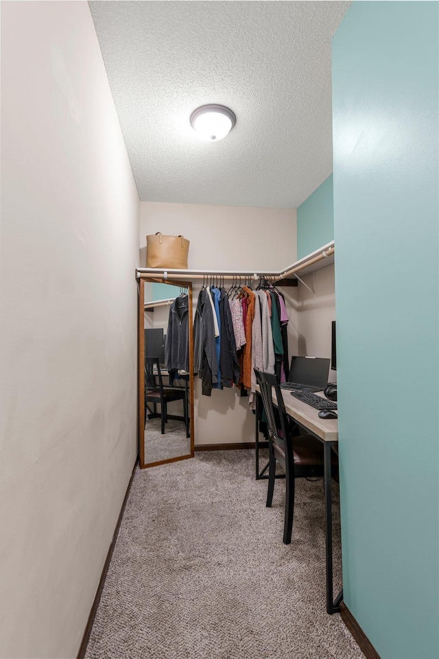 spacious closet featuring carpet flooring