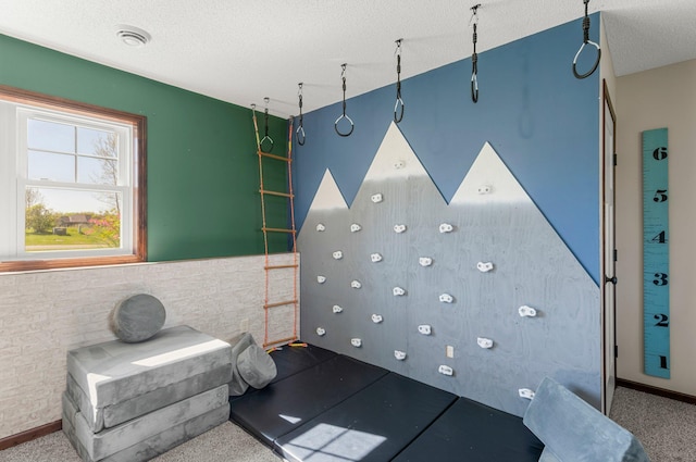 rec room with carpet flooring, a wainscoted wall, and a textured ceiling