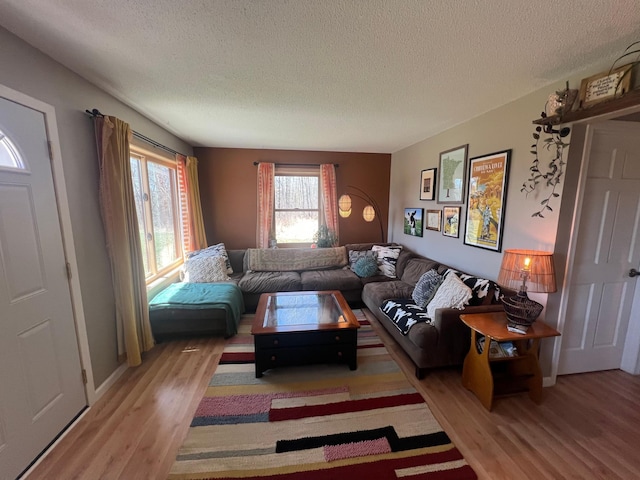 living area with a textured ceiling and wood finished floors