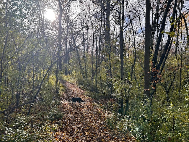 view of nature featuring a wooded view