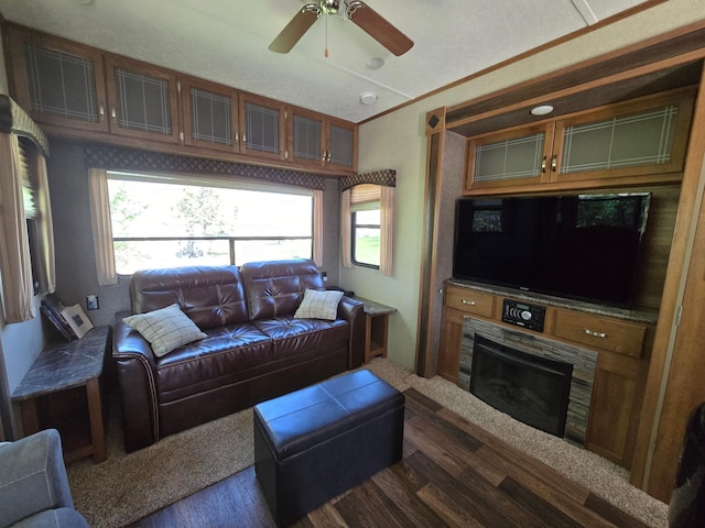living room with a ceiling fan, a glass covered fireplace, and dark wood-type flooring