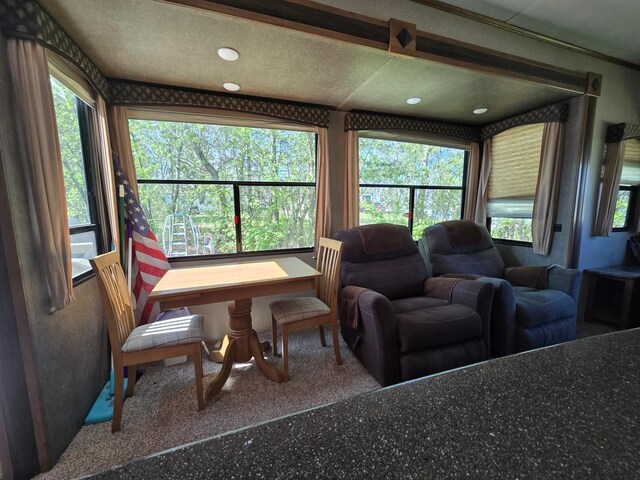 10045 State Highway 27 W Unit 44, Alexandria, MN 56308 - photo 11