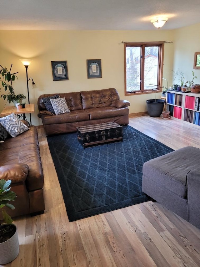 living room with wood finished floors