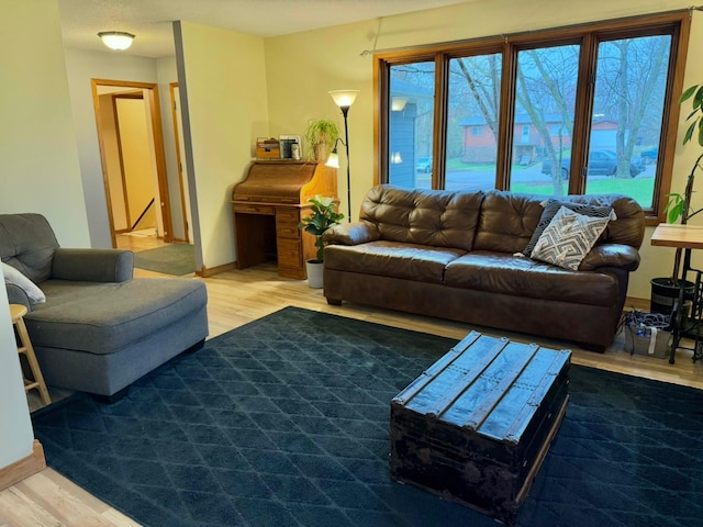 living room featuring baseboards and wood finished floors