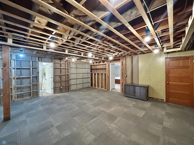 unfinished below grade area with carpet floors