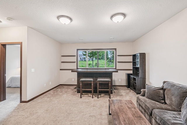 3623 Cove Point Cir NW, Prior Lake, MN 55372 - living room featuring light colored carpet and a textured ceiling