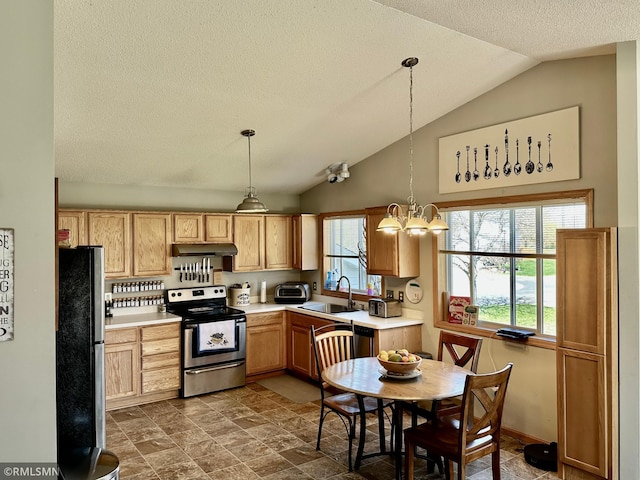 kitchen with lofted ceiling, light countertops, under cabinet range hood, a sink, and appliances with stainless steel finishes