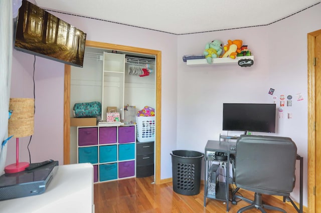office featuring wood finished floors