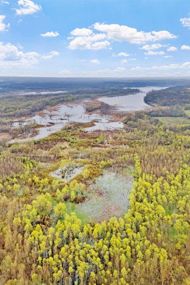 birds eye view of property featuring a water view and a forest view