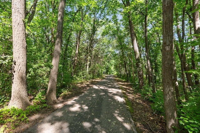 view of street with a forest view