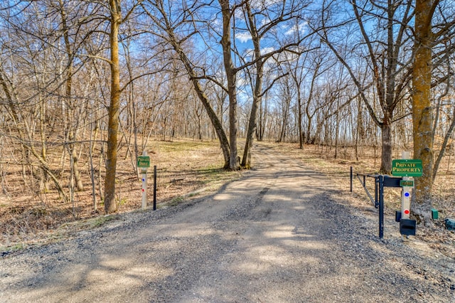 23351 County Highway 22, Lake View Twp, MN 56501 - view of street