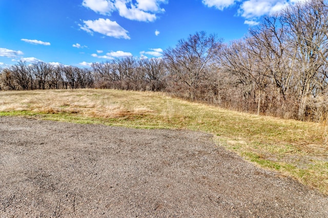23351 County Highway 22, Lake View Twp, MN 56501 - view of street