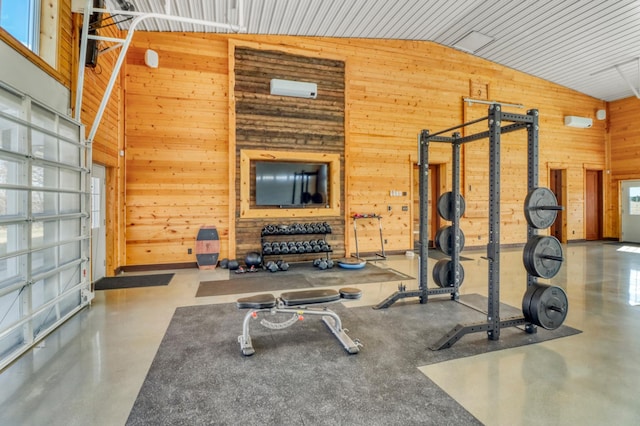 23351 County Highway 22, Lake View Twp, MN 56501 - workout area featuring wood walls and vaulted ceiling
