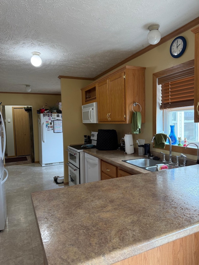 kitchen featuring brown cabinets, crown molding, a sink, white appliances, and a textured ceiling
