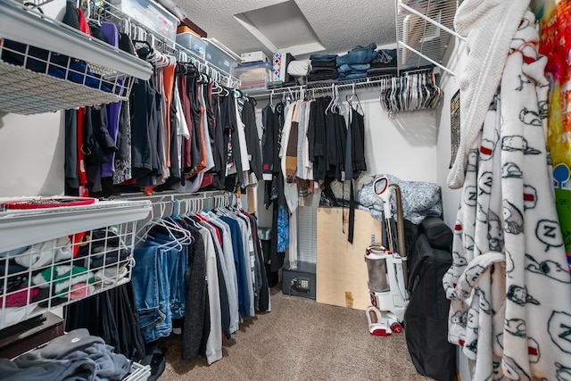 spacious closet featuring carpet