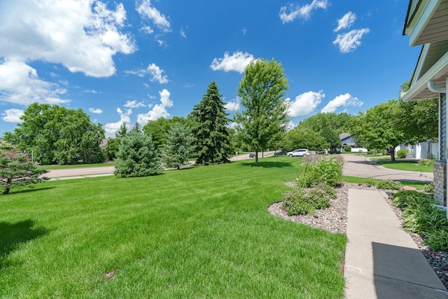 428 Hickory Ln N, Oakdale, MN 55128 - view of grassy yard