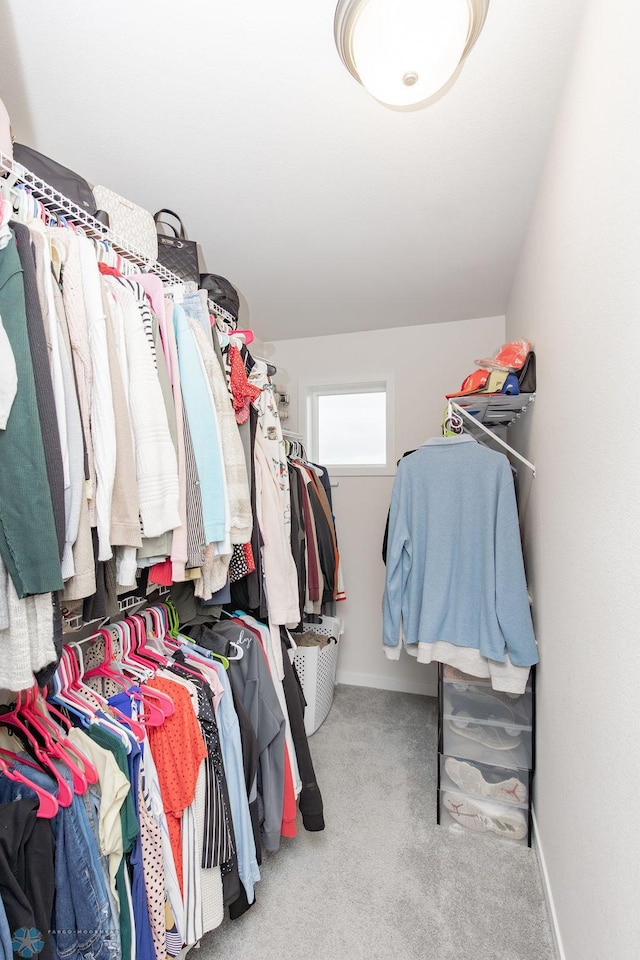 spacious closet with carpet