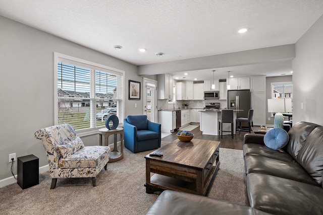 2166 Island Ct, Lino Lakes, MN 55038 - living room featuring baseboards, recessed lighting, and a textured ceiling