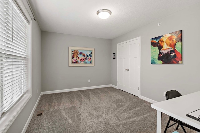 2166 Island Ct, Lino Lakes, MN 55038 - unfurnished office with carpet floors, plenty of natural light, baseboards, and a textured ceiling