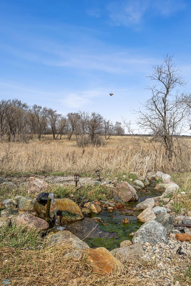 view of local wilderness