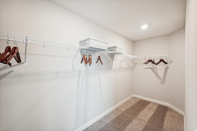 walk in closet featuring light colored carpet