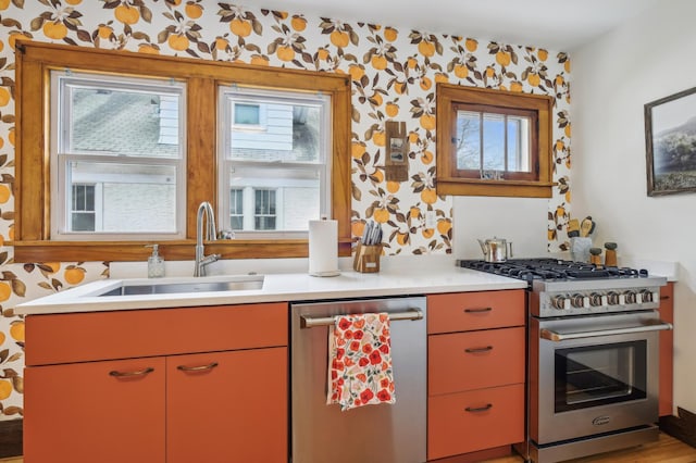 2170 Palace Ave, Saint Paul, MN 55105 - kitchen with a sink, stainless steel appliances, and a wealth of natural light